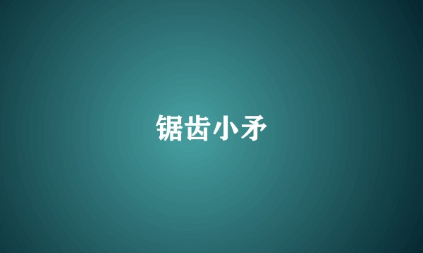 锯齿小矛