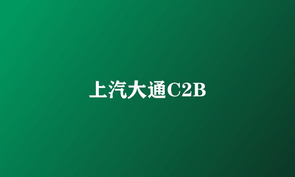 上汽大通C2B