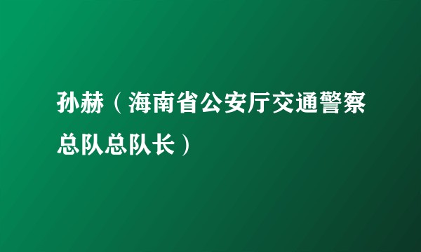 孙赫（海南省公安厅交通警察总队总队长）