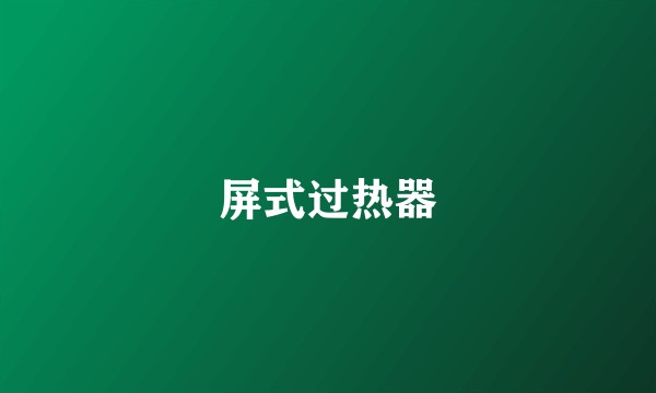 屏式过热器