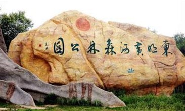 东明(夫余国王)