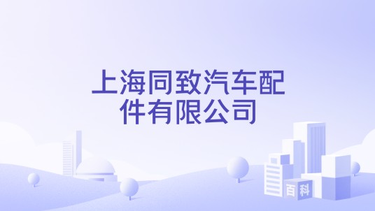 上海同致汽车配件有限公司