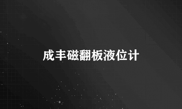 成丰磁翻板液位计