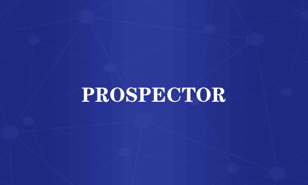 PROSPECTOR