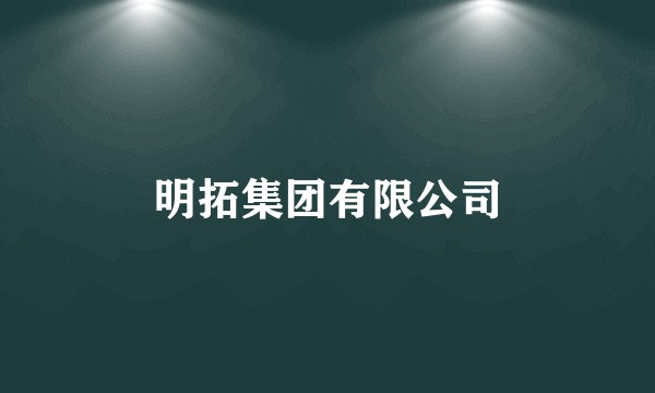明拓集团有限公司