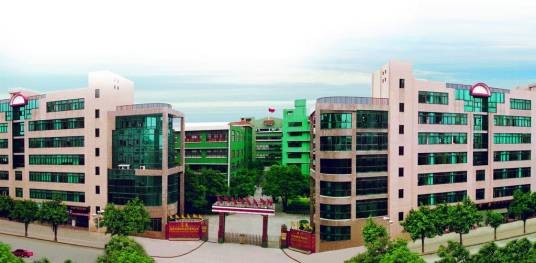 福建龙溪轴承（集团）股份有限公司