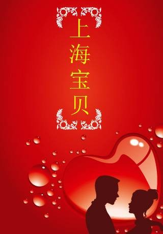 上海宝贝（德国2007年白灵主演的电影）
