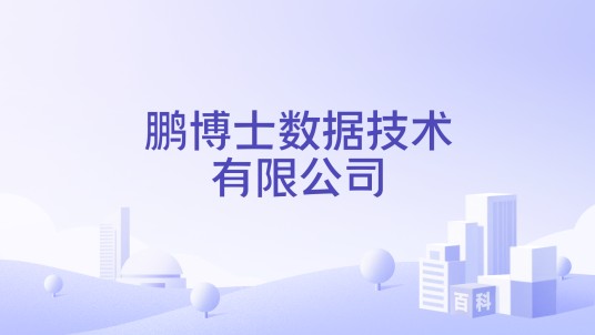 鹏博士数据技术有限公司