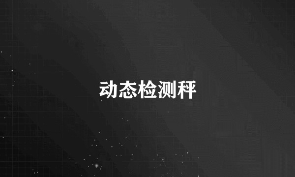 动态检测秤