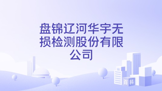 盘锦辽河华宇无损检测股份有限公司