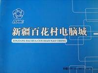 新疆百花村医药集团股份有限公司