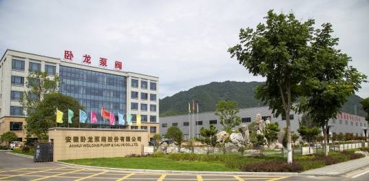 安徽卧龙泵阀股份有限公司