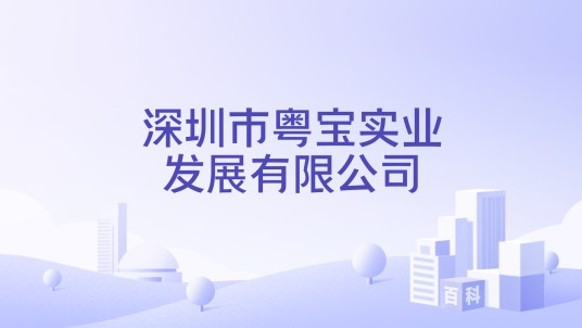 深圳市粤宝实业发展有限公司