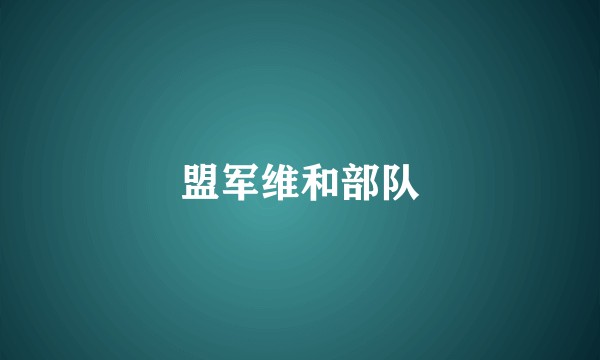 盟军维和部队