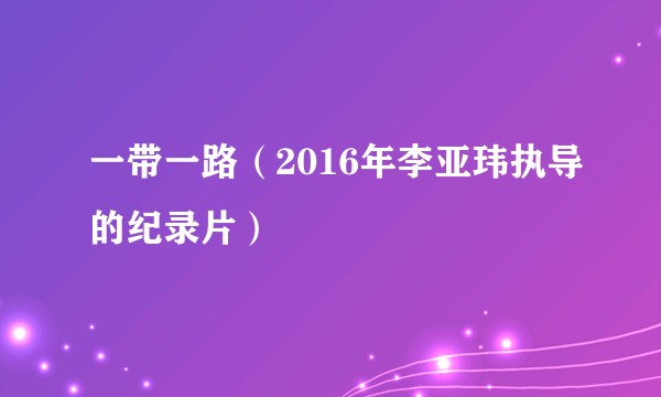 一带一路（2016年李亚玮执导的纪录片）