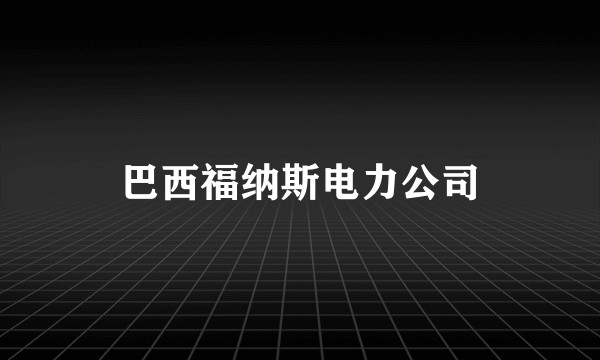 巴西福纳斯电力公司