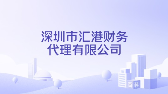 深圳市汇港财务代理有限公司