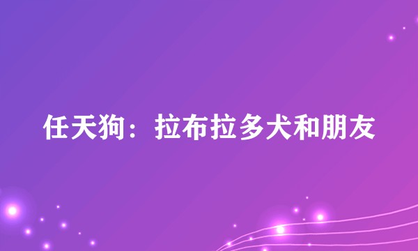 任天狗：拉布拉多犬和朋友