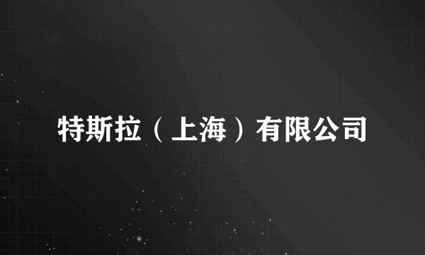 特斯拉（上海）有限公司