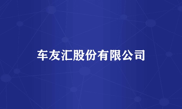 车友汇股份有限公司