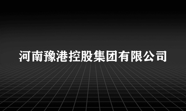 河南豫港控股集团有限公司