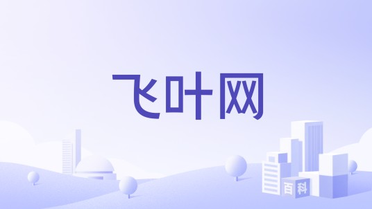 飞叶网