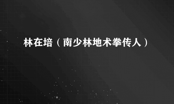 林在培（南少林地术拳传人）