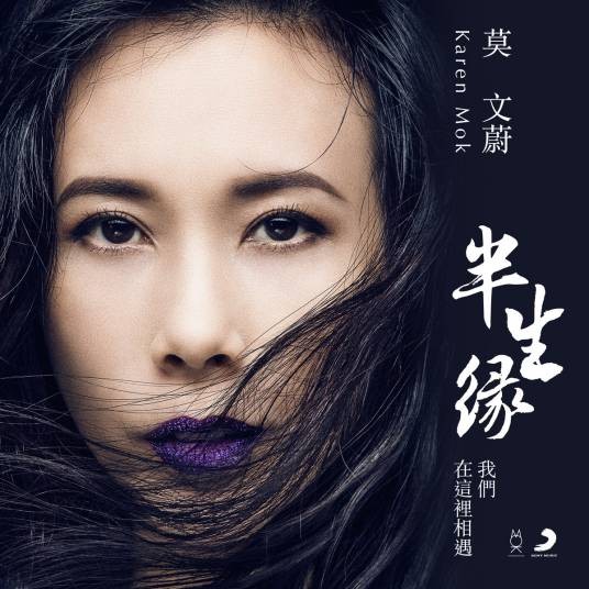 半生缘（我们在这里相遇）