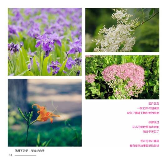 花开的声音(浅时光演唱歌曲)