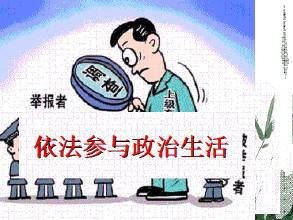 政治参与