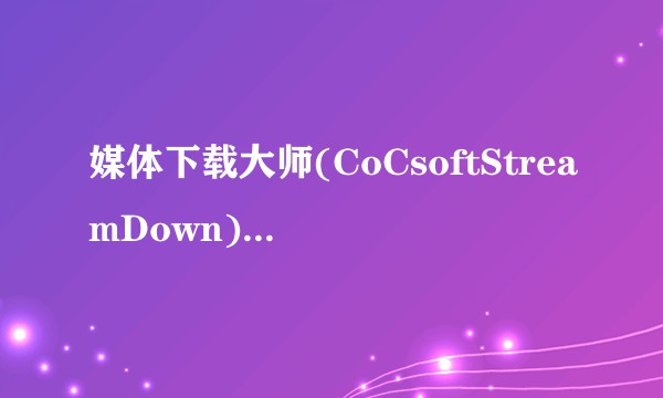 媒体下载大师(CoCsoftStreamDown)V5.8