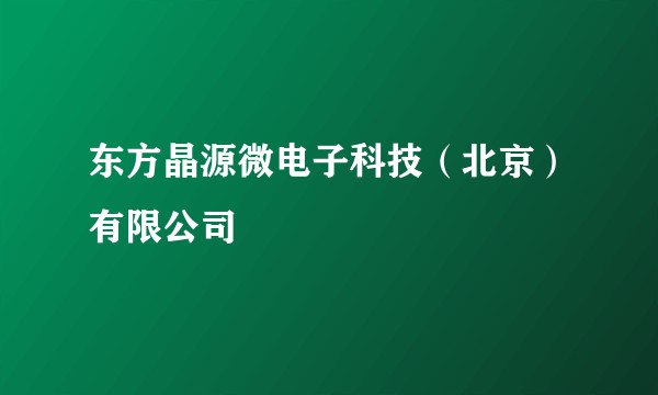 东方晶源微电子科技（北京）有限公司