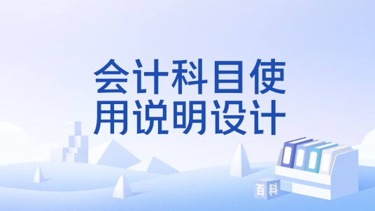 会计科目使用说明设计