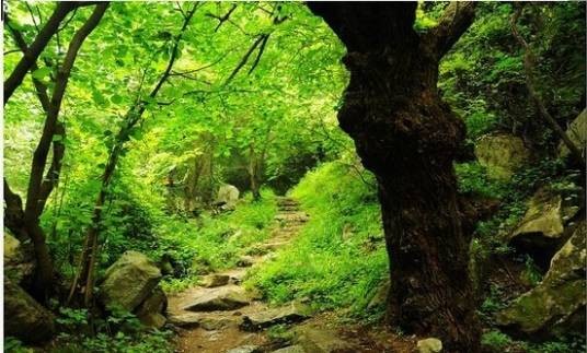 西安连珠潭风景区