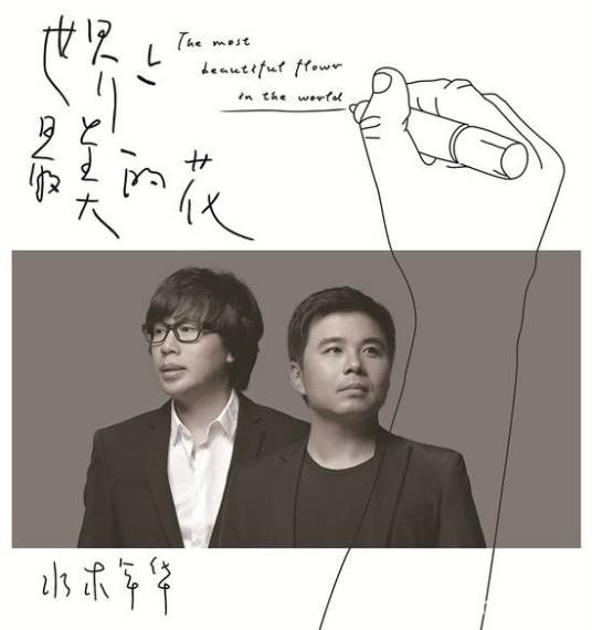 世界上最美的花（水木年华歌曲）