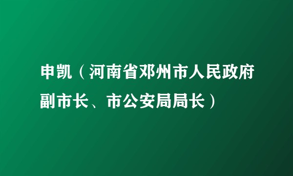 申凯（河南省邓州市人民政府副市长、市公安局局长）