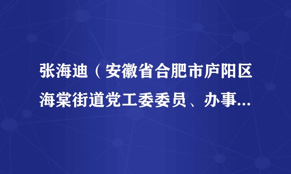 张海迪(安徽省合肥市庐阳区海棠街道党工委委员、办事处副主任)
