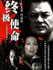 终极使命（2001年王冰河执导的电视剧）