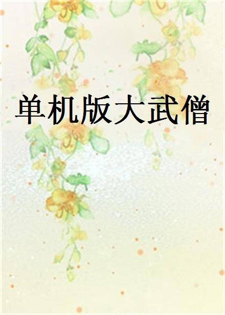 单机版大武僧