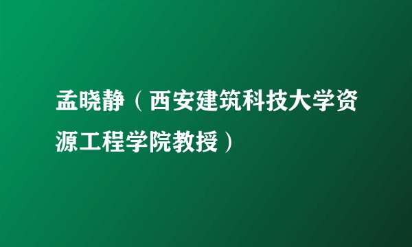 孟晓静(西安建筑科技大学资源工程学院教授)