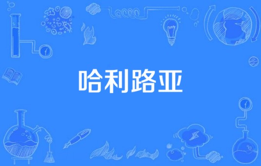 哈利路亚（2009年Big Bang的歌曲）