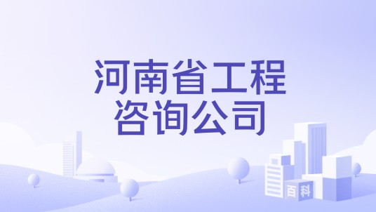 河南省工程咨询公司