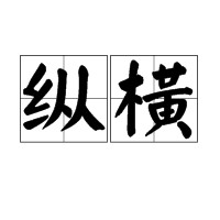 纵横（谷歌推出手机服务）
