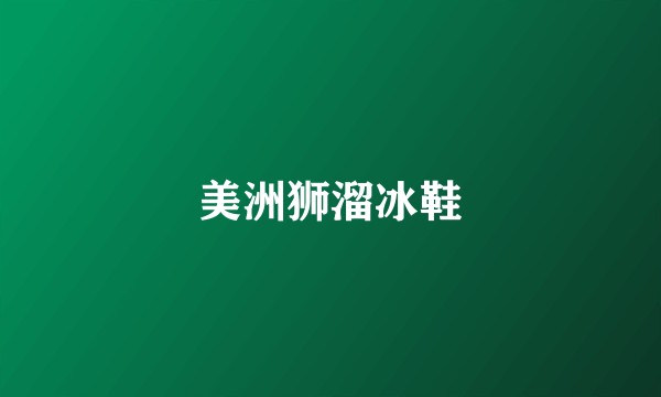 美洲狮溜冰鞋