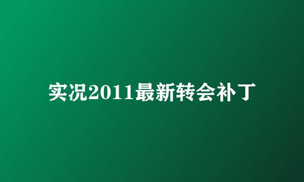 实况2011最新转会补丁