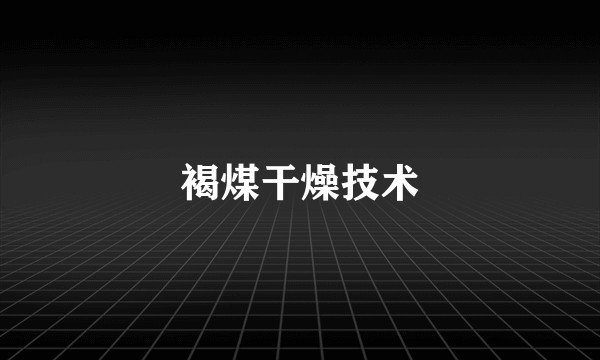 褐煤干燥技术