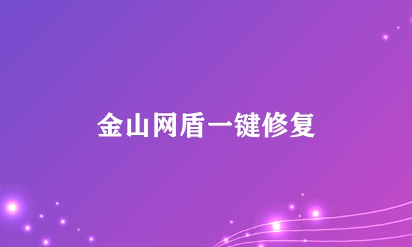 金山网盾一键修复