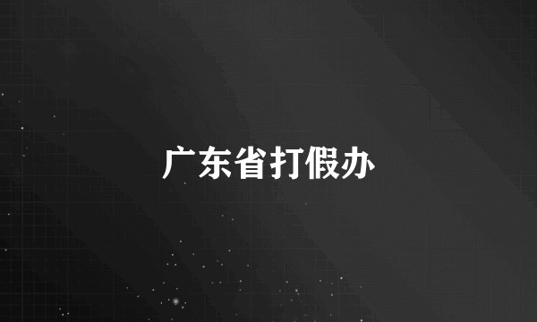 广东省打假办