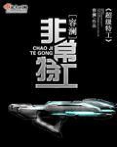 非常特工（容澜所著小说）