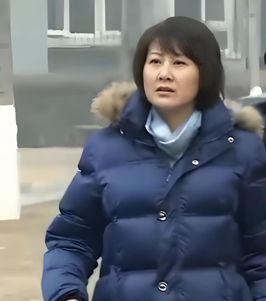 田淑云（电视剧《裸婚时代》中的角色）